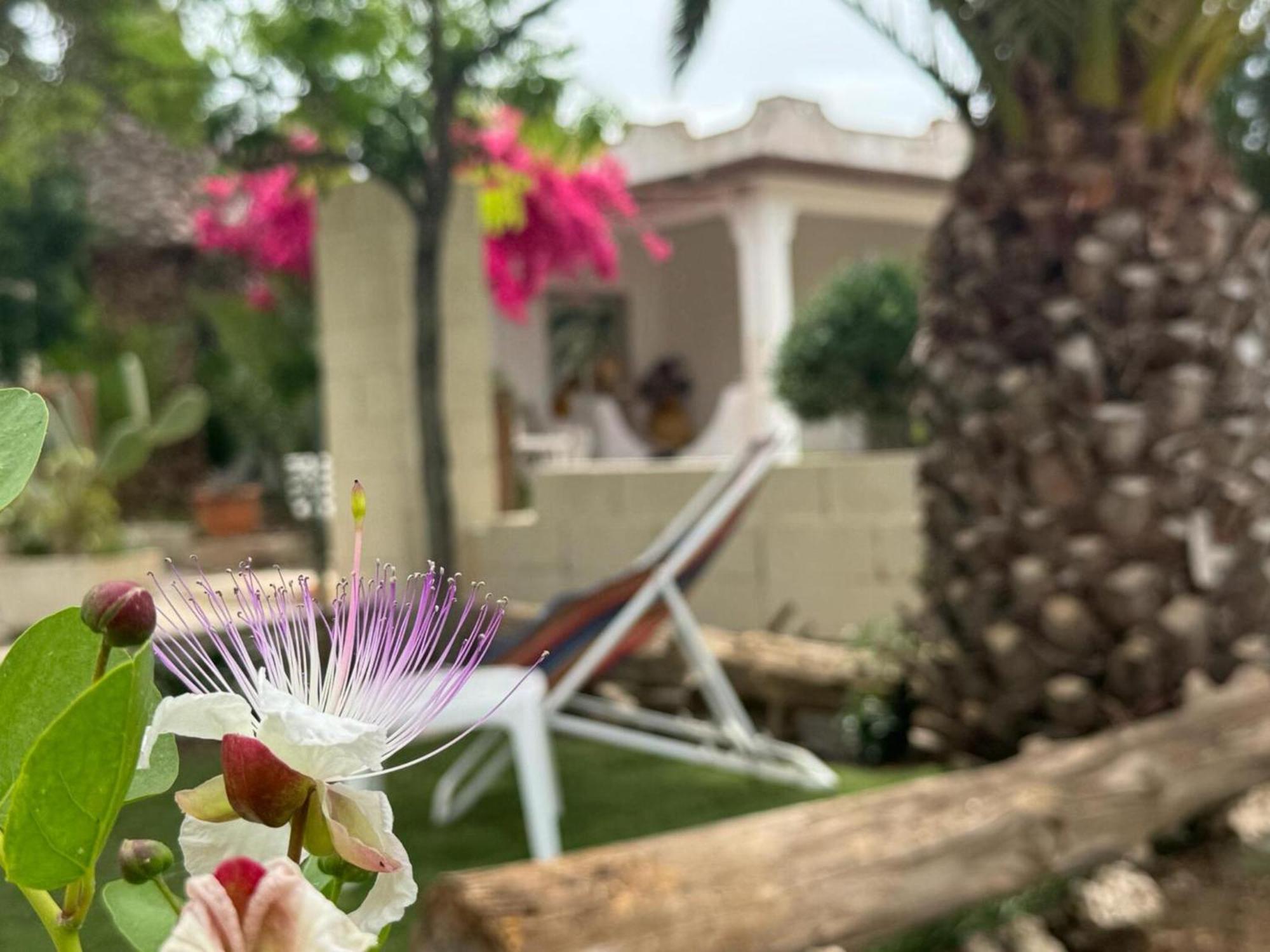 Villa Torretta - Mare Salento Marina di Lizzano Extérieur photo