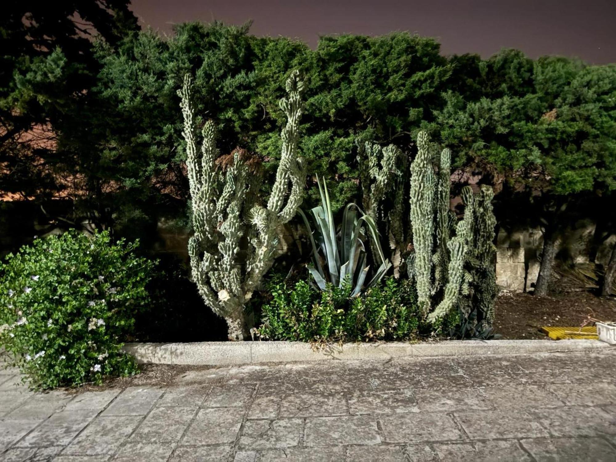 Villa Torretta - Mare Salento Marina di Lizzano Extérieur photo