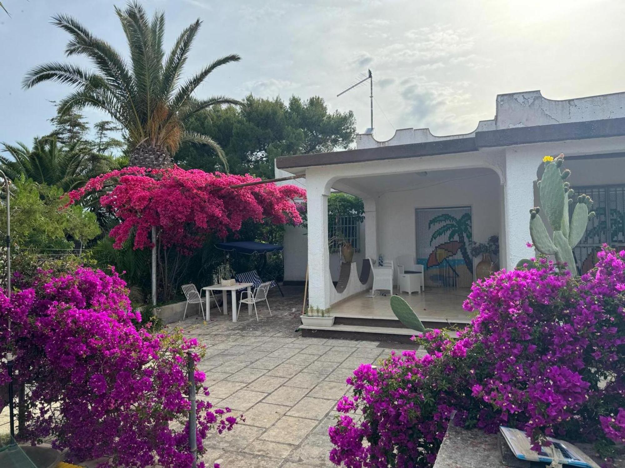 Villa Torretta - Mare Salento Marina di Lizzano Extérieur photo