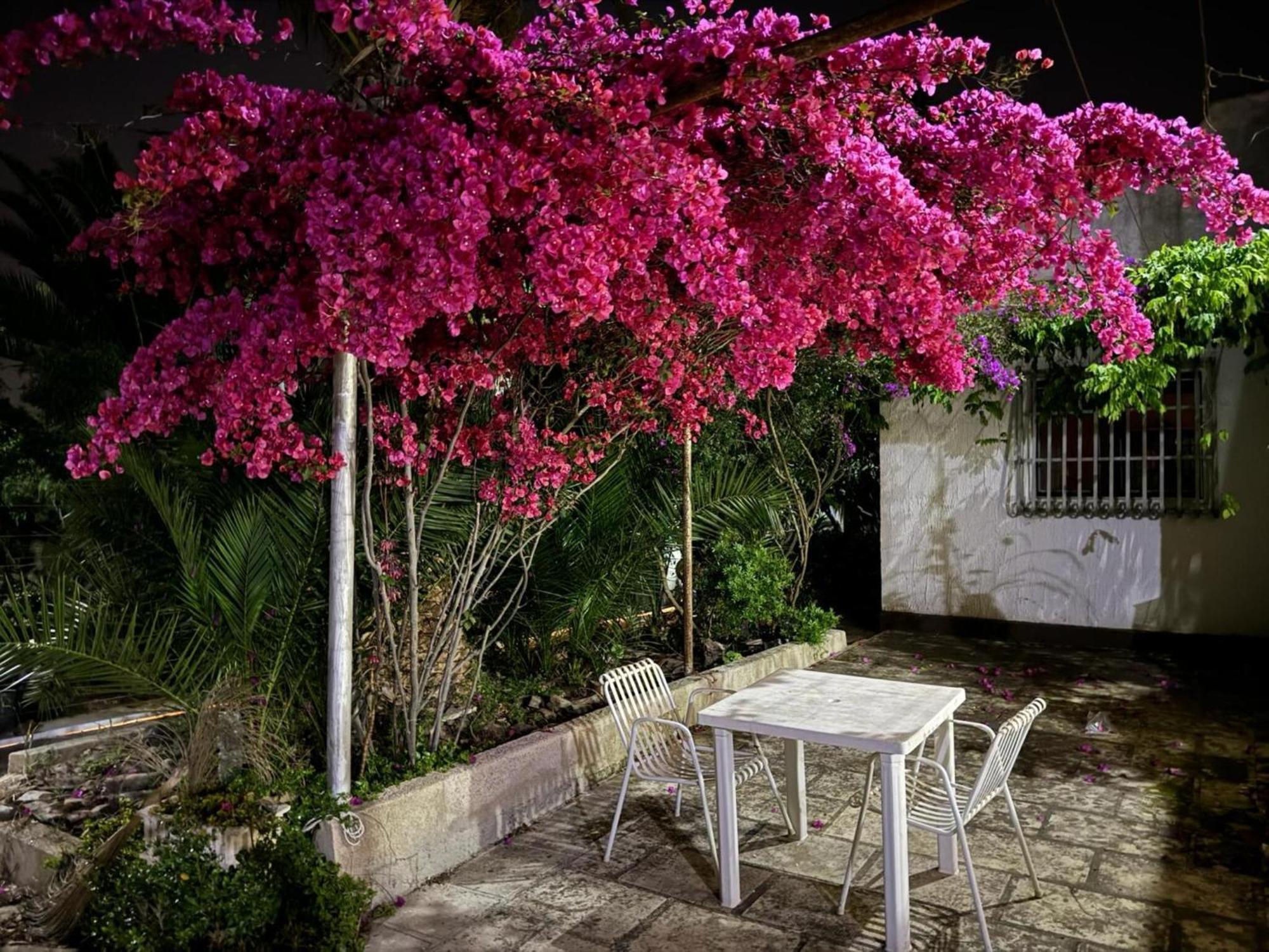 Villa Torretta - Mare Salento Marina di Lizzano Extérieur photo