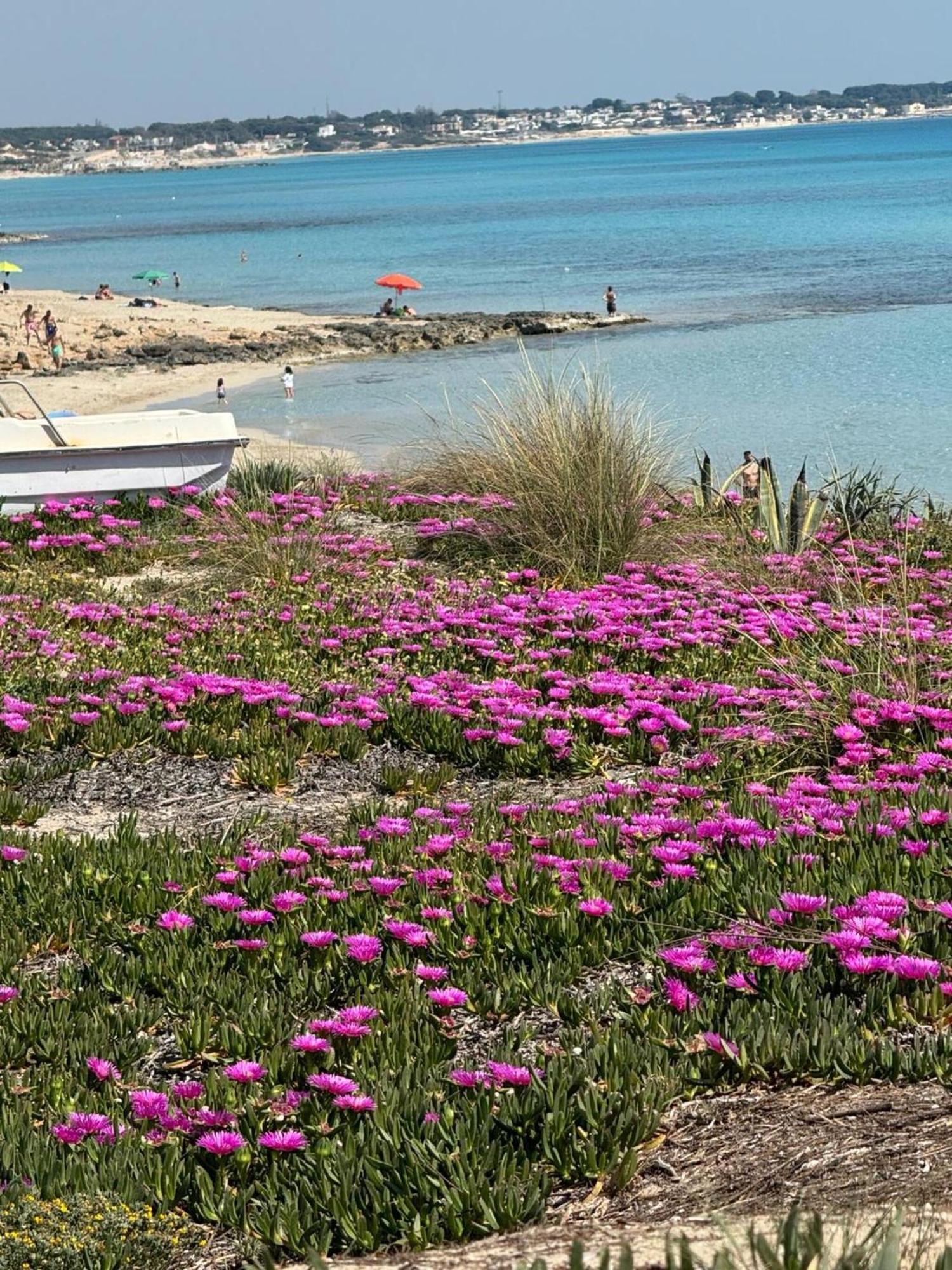Villa Torretta - Mare Salento Marina di Lizzano Extérieur photo